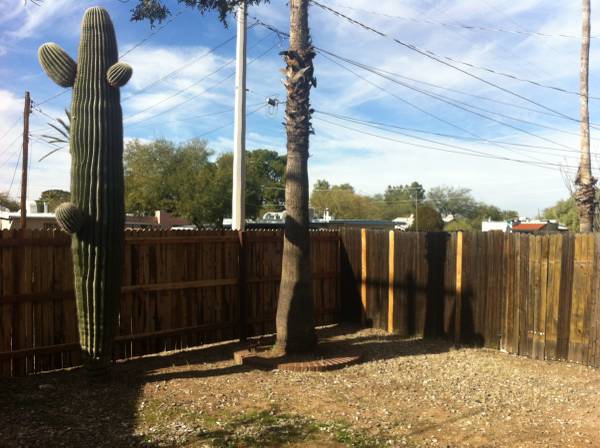 $900 / 1br - 750ft2 - Cottage with Large Yard-Central Tucson (1314 N. Richey Blvd.)63674705077379123