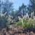 /m..0.9 Acres of Mountain Paradise for Retirees! 3 thumbnail