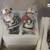 Hershey’s Collectibles – Bears, 4th of July, Misc 1 or 2 15 thumbnail