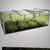 BioStar 1500 Premium Garden Cold Frame with three open top panels 4 thumbnail