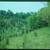 30 Wooded Acres 2 thumbnail