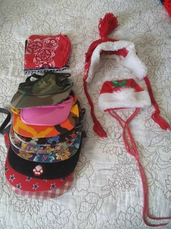 Dog Fishing Outfit, Hats, Leashes And Harnesses - $1 Each (SimiValley)63686109481345121