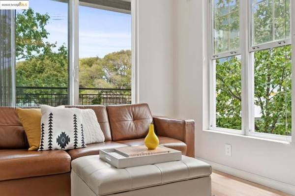 $2,000 / 1br - 482ft2 - Adorable 1bed/ 1bath apt (emeryville)63667872760961122