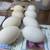 Chinese Goose – Perfect For Table Food or Pets! Each 14 thumbnail