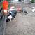 Pigs, Cerdos, Marrano 1 thumbnail