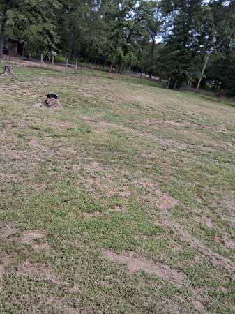 $38,000 Alba lake shores 6 lots 4 sale (Alba TX)64037722257411121