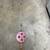 Jigging Ice Fishing Pole, 40 inches long with Reel 1 thumbnail