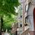 UIC/ RUSH Med Center 5 Bed  2 Bath  FURNISHED  APT in LITTLE ITALY 4 thumbnail