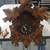 Cuckoo Clock 1 thumbnail