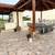 EXCEPTIONAL 3-STORY RESIDENCE, JARDINES DEL NORTE Dom. Rep 4 thumbnail