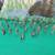 Toy Rocket launcher plus Collection of 49 1950s Plastic Soldiers 7 thumbnail