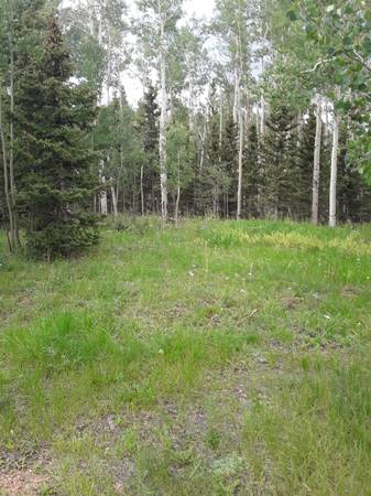 $1,500 / 1br - 950ft2 - FURNISHED MONTHLY 1 BEDROOM CABIN (Cripple Creek)63658179546753121