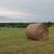 2025 Mixed grass hay 3 thumbnail