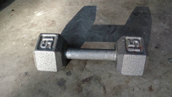 15lbs single dumbbell 1