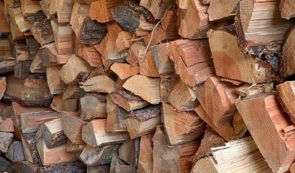 Fir and maple firewood 1