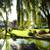 Courtyard, 1 BD, Situated in San Ramon! 2 thumbnail
