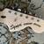 Squier Paranormal Esquire Deluxe 2023 - Present - Blue Sparkle 5 thumbnail