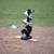 NEW 388BH Baseball Pitching Machine 2 thumbnail
