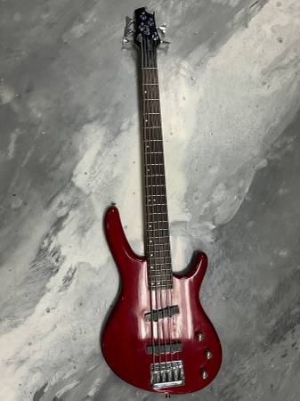 CORT ACTION 5 STRING BASS 1