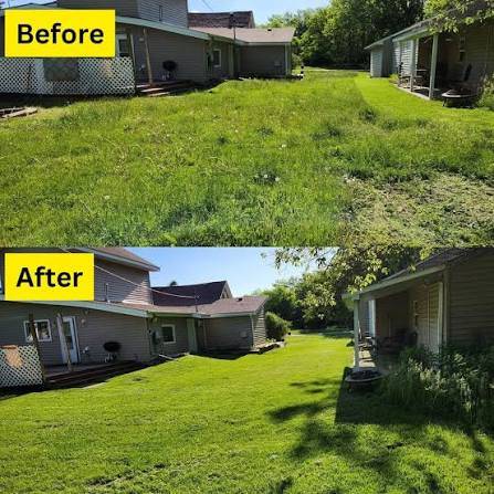 Same Day Lawn Care, Tree Trimming, Junk Removal & Landscaping 1