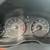 2011 subaru Outback 10 thumbnail