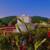 Beautiful House. Close to Antigua G. $740.0 1 thumbnail