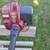 Poulan Pro Straight Shaft Weed Trimmer Runs Great 2 thumbnail