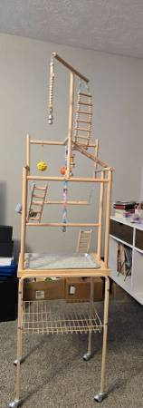 2 cockatiels, bird cage, playground, stands, and supplies (Council Bluffs)63670824124035121