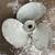 Volvo Penta 280 propellers 2 thumbnail