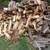 FIREWOOD FOR SALE 5 thumbnail