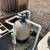 Hayward S244T ProSeries Sand Filter – 24” – Great Condition 4 thumbnail