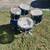 Ludwig Classic Drums- 5pc Excellent Cond B+W badge 4 thumbnail
