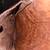CAMPOMAGGI Teodorano Leather Messenger bag 8 thumbnail