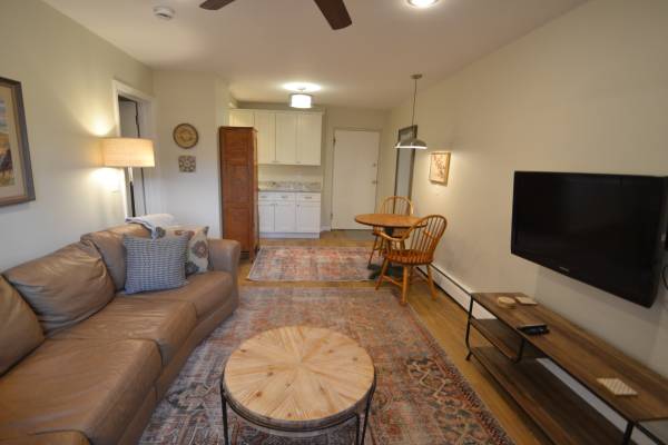 $1,295 / 1br - 600ft2 - R-6 Furnished 1BR Center City location (Cincinnati)63974471778435123