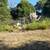 Brush Cleaning, tree pruning, tree removal 7 thumbnail