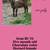 Goats for sale 19 thumbnail