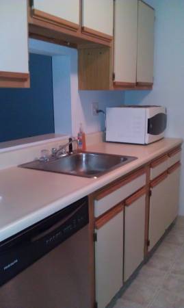 $1,550 / 1br - 640ft2 - 1-bedroom 1bath condo with Washer and Dryer in unit (Dover)63931656987906121