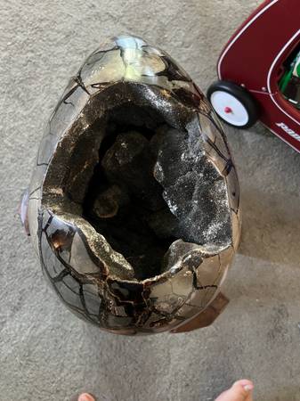 Septarian Dragon Egg 1