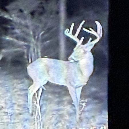 Big Thicket Hunting lease. 1