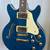 Jay Turser JT-134 Tree Of Life Electric Guitar Semi Hollowbody 1 thumbnail