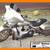 1999 Harley Davidson Ultra Classic Custom 1 thumbnail