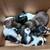 Mini Dachshunds 16 thumbnail