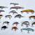 22 Crank Bait Fishing Lures 2 thumbnail
