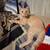 Jasper an orange tabby 3 thumbnail