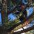 Tree trimming/climber/arborist 8 thumbnail