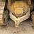 CAT D6H DOZER 5 thumbnail