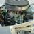 JOHNSON 6 HP - Good Condition !! "Short Shaft" !! 8 thumbnail