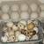 Farm fresh chicken, duck & quail eggs 3 thumbnail