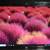 HP Pavilion DV7 Entertainment Laptop / Notebook windows 10 Clean! 4 thumbnail