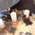Silkies part 2, 1-2 months old 2 thumbnail